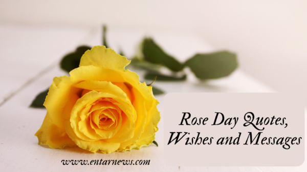 Rose Day Quotes, Wishes and Messages