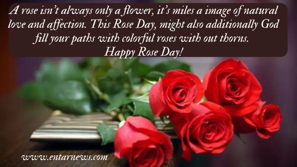 Rose Day Quotes, Wishes and Messages