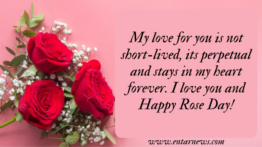 Rose Day Quotes, Wishes and Messages