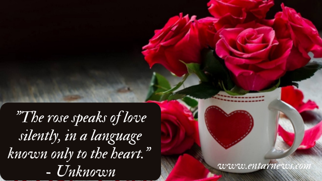 Rose Day Quotes, Wishes and Messages