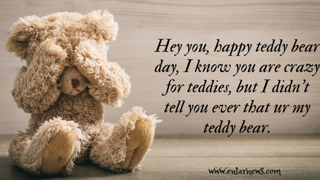 Happy Teddy Day 2023: Best wishes, Quotes  and Messages