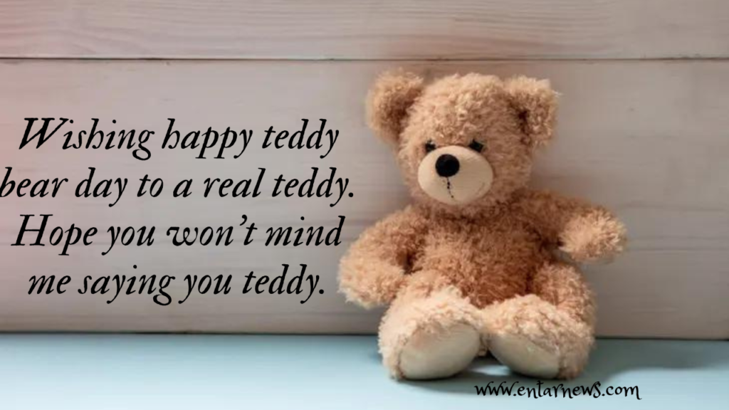 Happy Teddy Day 2023: Best wishes, Quotes  and Messages