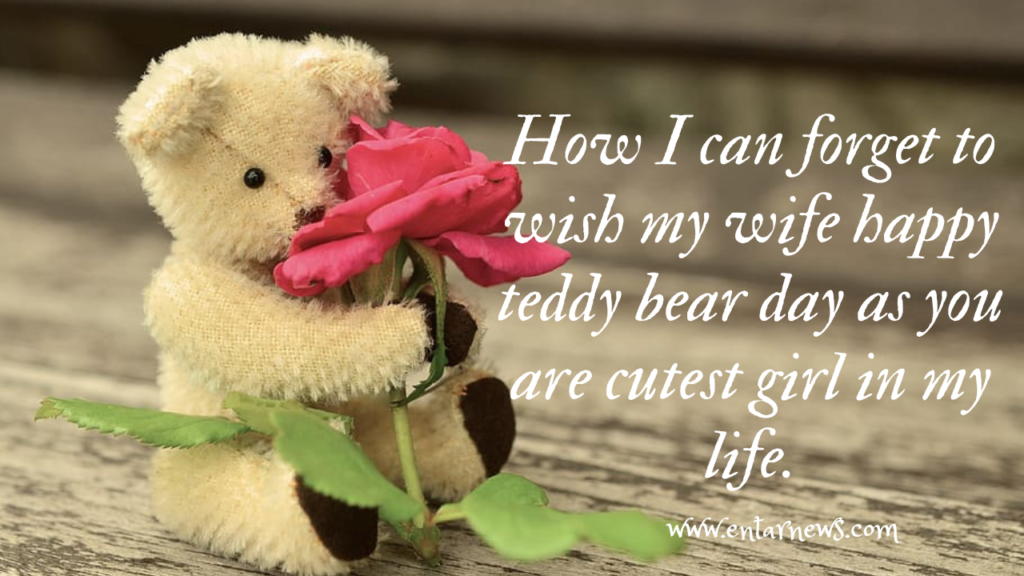 Happy Teddy Day 2023: Best wishes, Quotes  and Messages