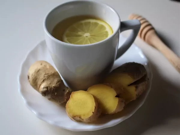 Herbal Teas for a Happy Tummy: 5 Remedies to Relieve Bloating and Gas