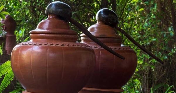 Unlocking Nature's Elixir: How Drinking Water from Earthen Pots Can Boost Your Well-being