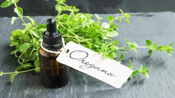 The Anti-inflammatory Properties of Oil of Oregano: Implications for Health